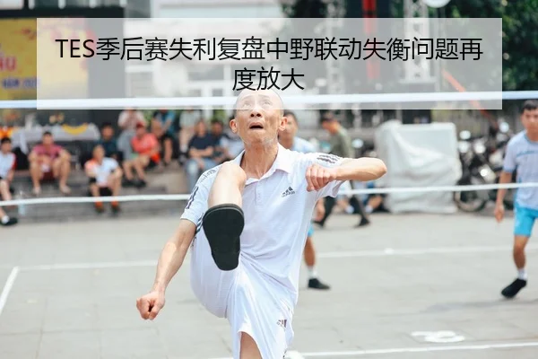TES季后赛失利复盘中野联动失衡问题再度放大